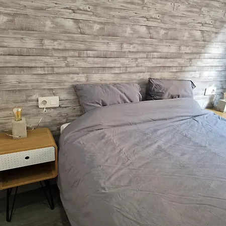 Palmloft Apartment