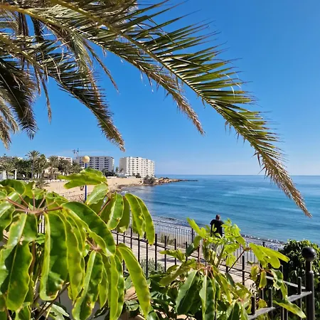 Palmloft Apartamento