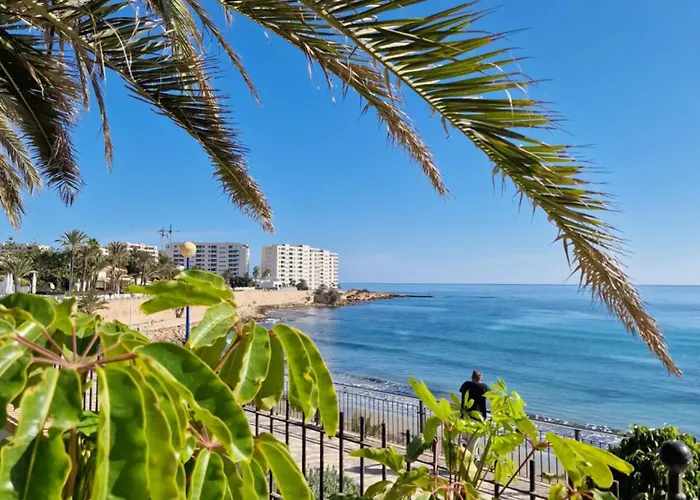 Palmloft Apartamento